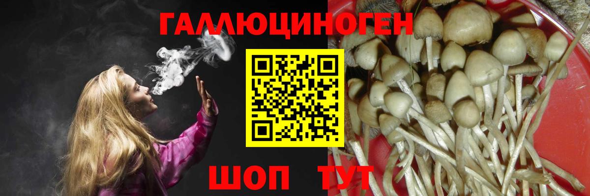 Орёл  Псилоцибиновые грибы MAGIC MUSHROOMS  Галлюциногенные грибы Psilocybe  Вход с VPN 